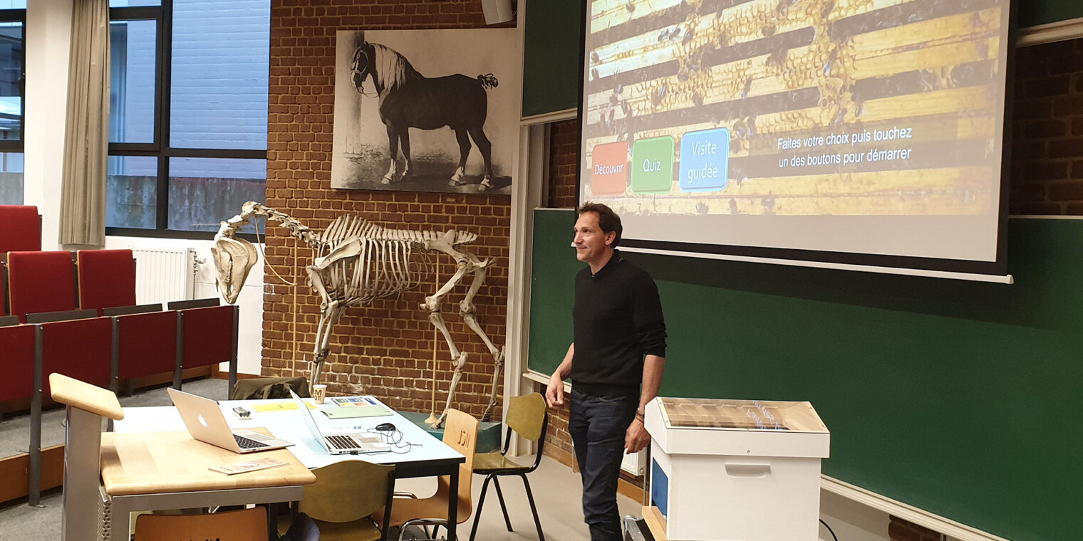 InRuche découvre la Belgique …