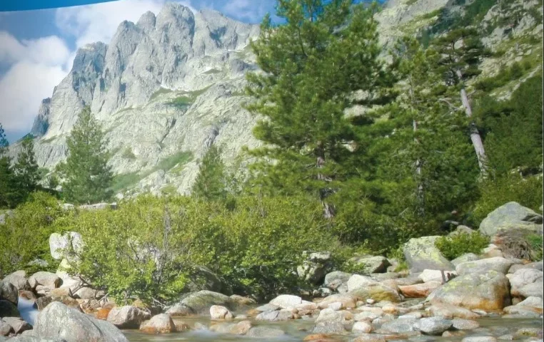 Le CPIE fait confiance à Digizz