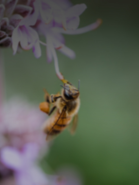 Formule Location hebdomadaire