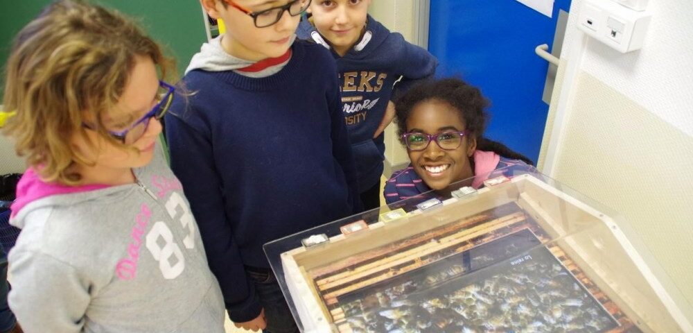 Oise : ils ont inventé la ruche pédagogique… et sans risque