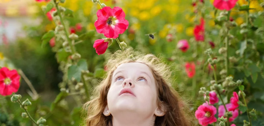 Quelle animation pour les enfants sur l&rsquo;abeille ?